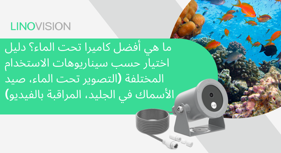 ما هي أفضل كاميرا تحت الماء؟ دليل اختيار حسب سيناريوهات الاستخدام المختلفة (التصوير تحت الماء، صيد الأسماك في الجليد، المراقبة بالفيديو)