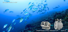 Underwater Camera Solution For Aquaculture Farm