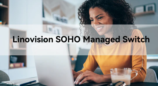 Elevate Your Small Business Game with Linovision SOHO Managed Switches
